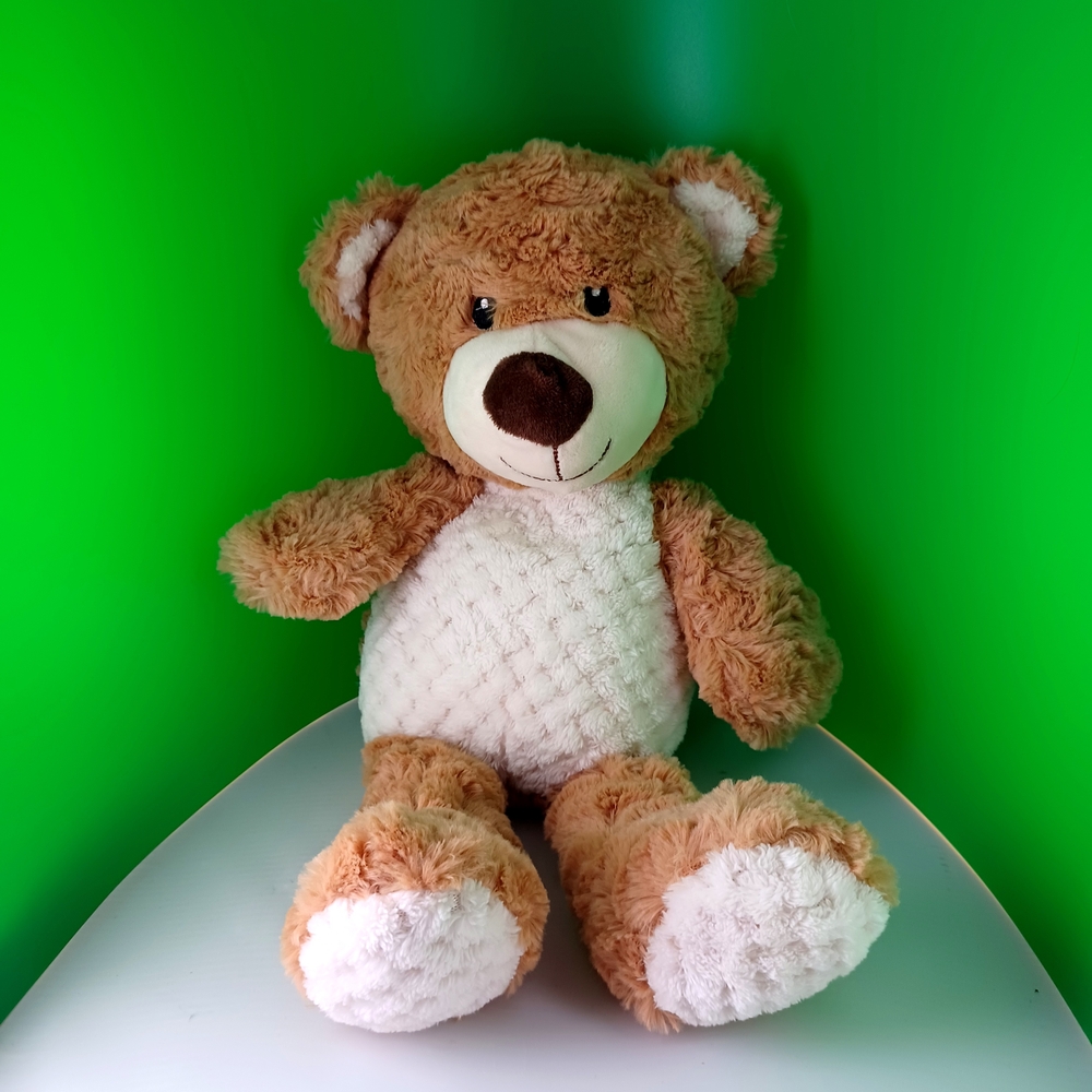 Cute Brown and White Teddy Bear - Picture 4 of 8
